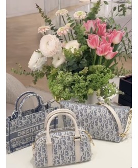 Dior Bag New 1