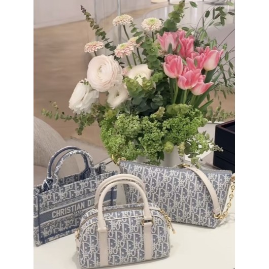 Dior Bag New 1